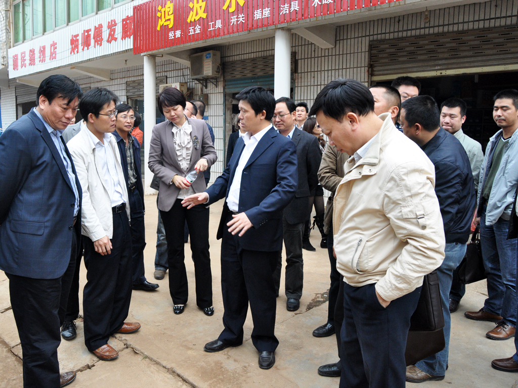 区四大家领导视察城乡同治工作_党政动态_株