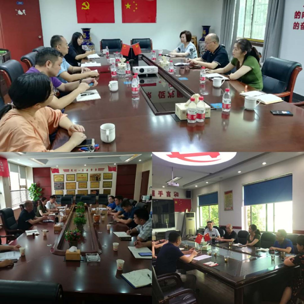 7.13党派对口联系镇(街)座谈2