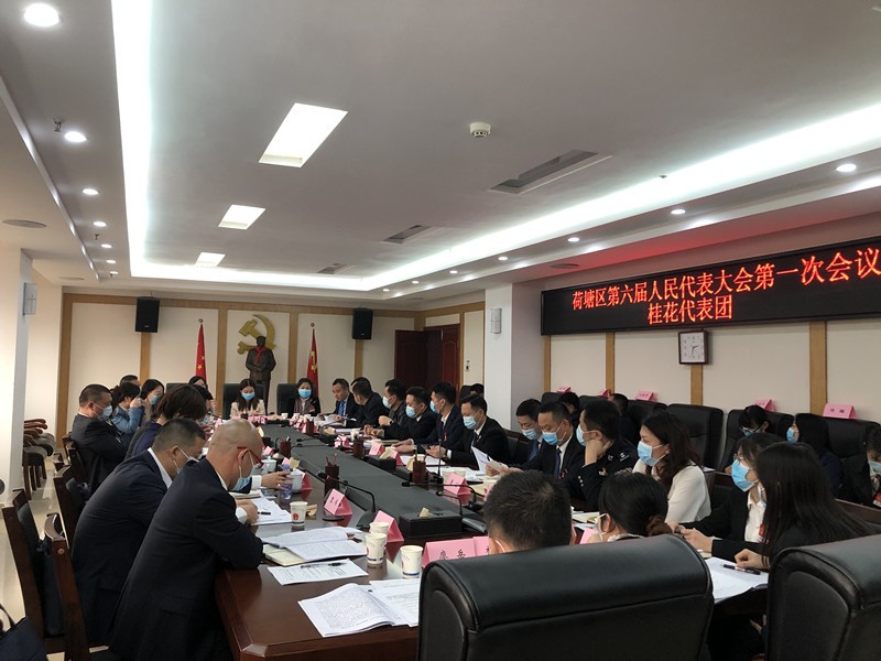 桂花代表团_副本