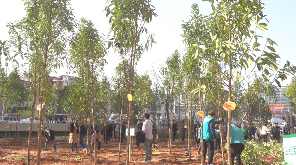 微信图片_20240312111742