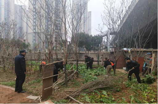 72c89255d1d7f9019f5790121d33d7b