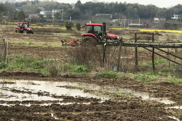 微信图片_20250320155104_副本