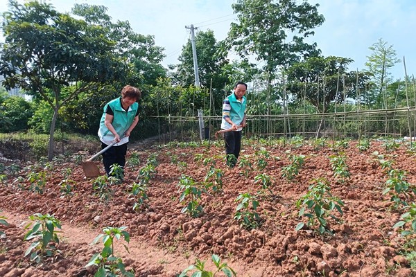 微信图片_20250526150129_副本