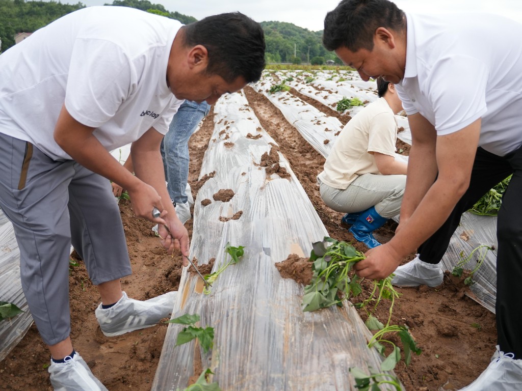 DSC03507_毒霸看图