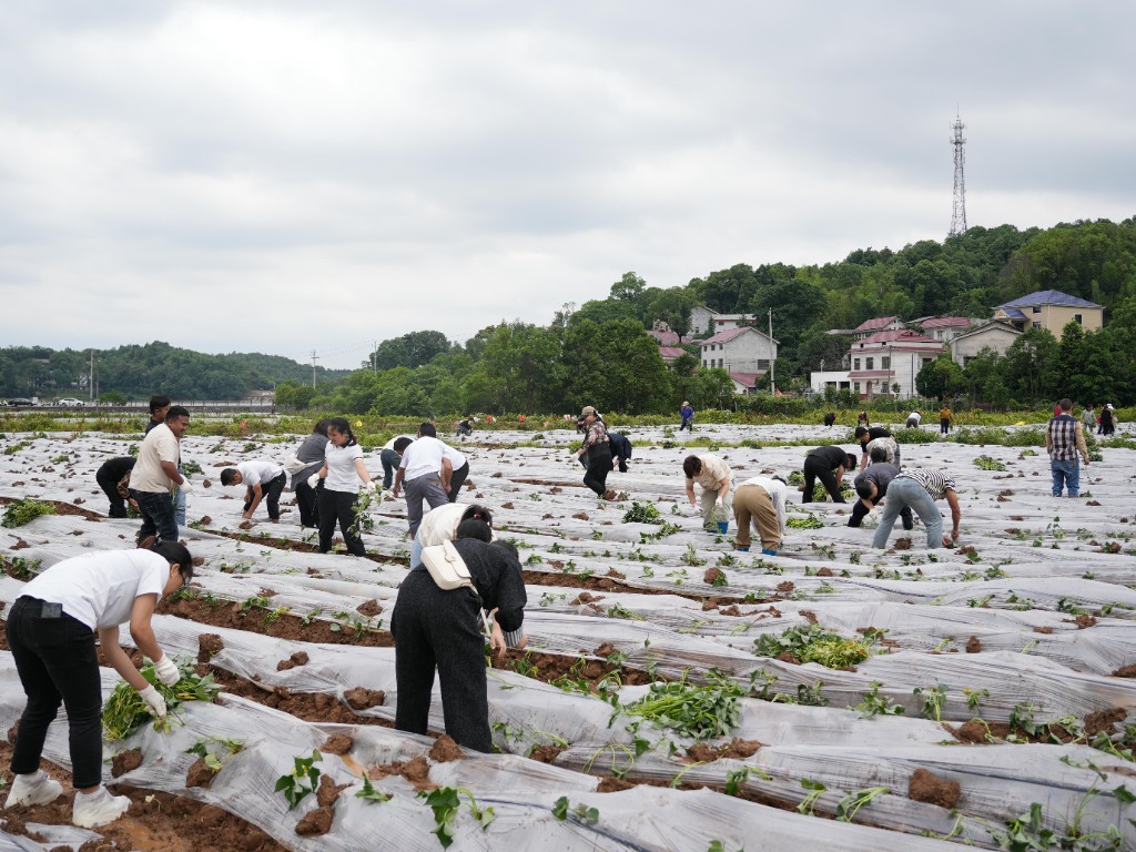 DSC03533_毒霸看图