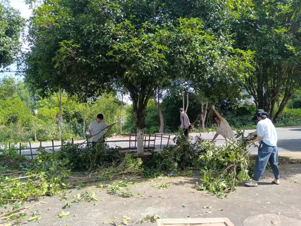 微信图片_20250615162300