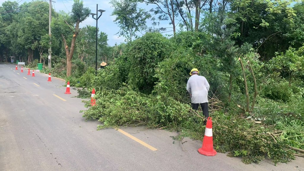 微信图片_20250615162249