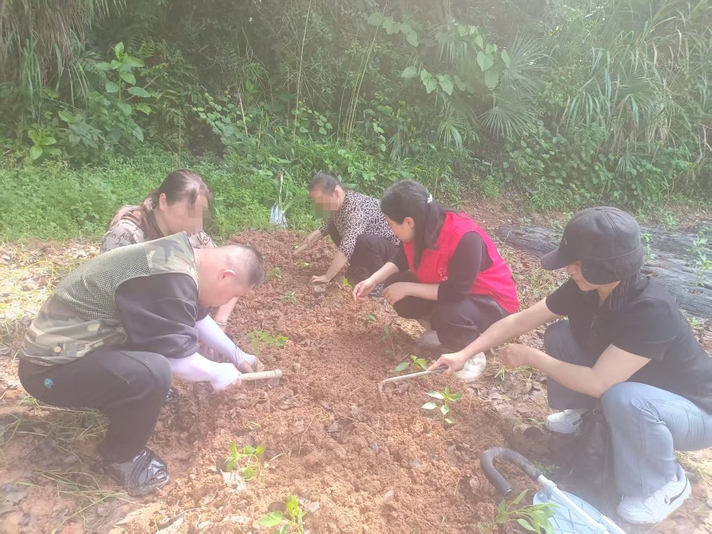 715beee123e8e8319a13e45049f1c2c