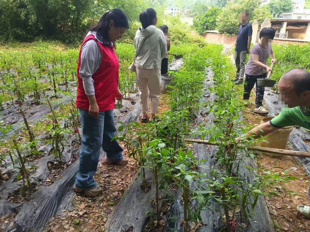 c0f48018cc9977a38ab4bd1022d2f7a