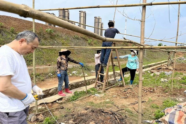 微信图片_20251104154136_75_468_副本