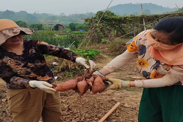 微信图片_20251104154138_76_468_副本