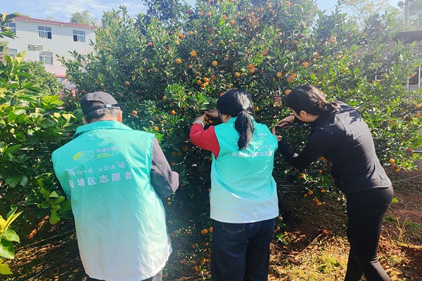 微信图片_20251117111209_81_341_副本