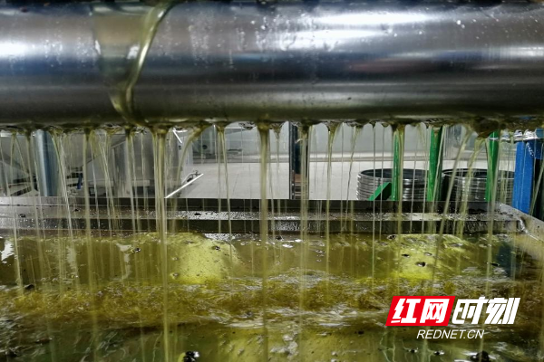 图片6.png 图片6.png