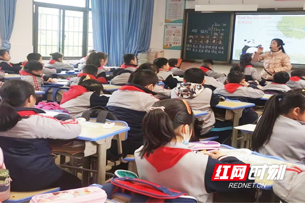 图片5.jpg 图片5.jpg